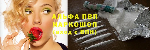 МДПВ Вяземский