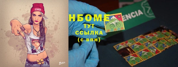 МДПВ Вяземский