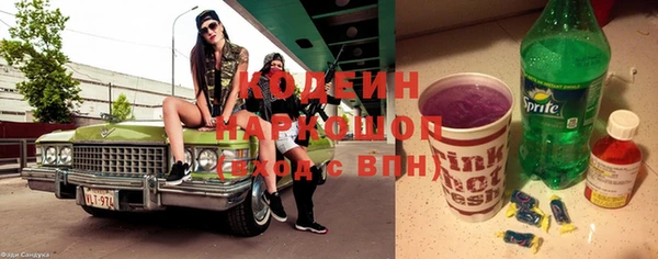 МДПВ Вяземский