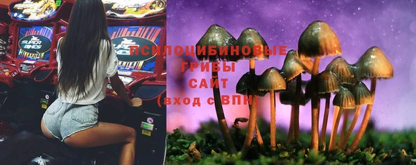 соль курить ск Вязники