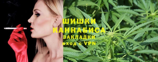 МДПВ Вяземский