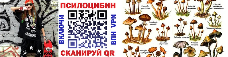 Купить  Краснокамск  Псилоцибиновые грибы Psilocybe 